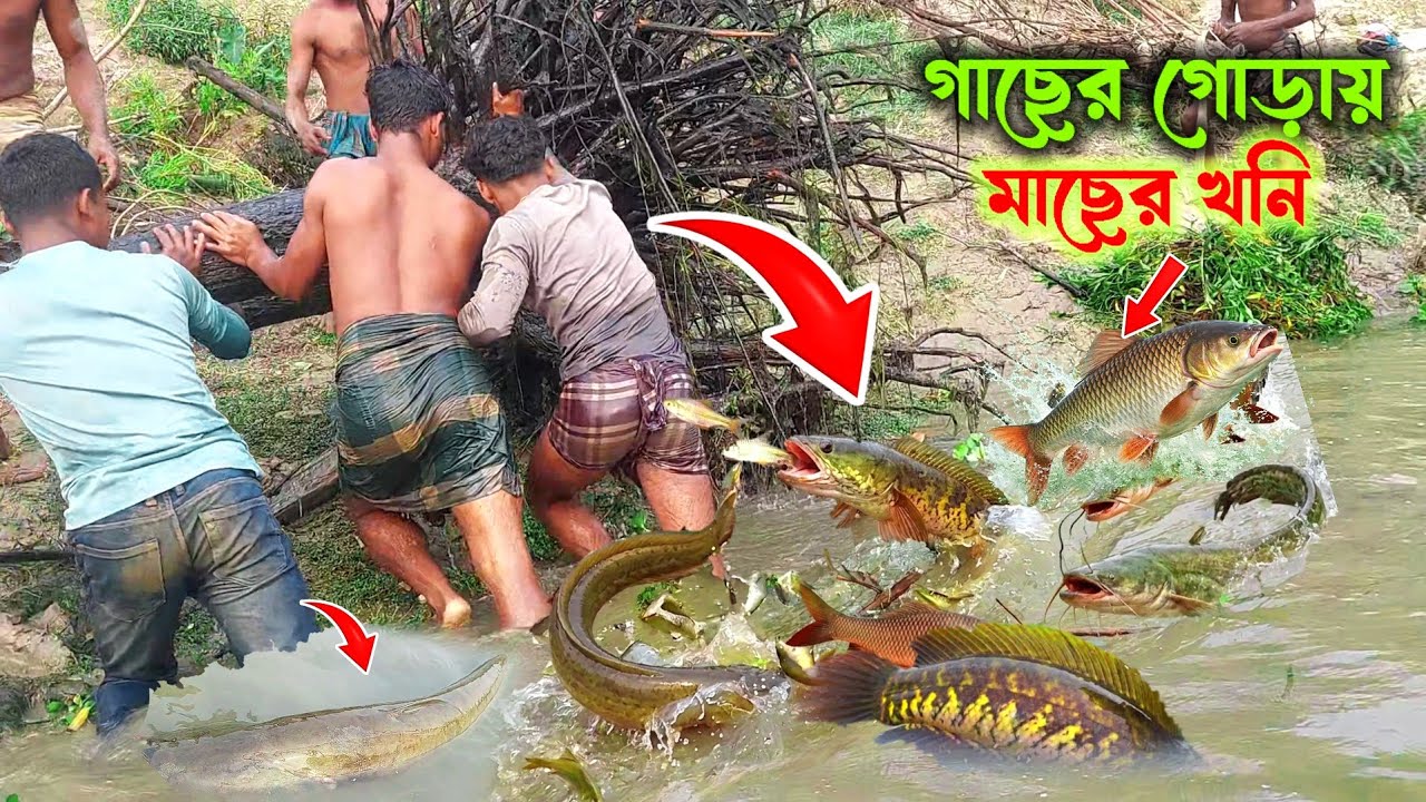 বিশ্বাস করবেন না 🙋&zwj;♂️এই গাছের শিকড়ের ভিতর এতো মাছ 😲 | Fishing Adventure | সিজন ১ | পর্ব ৭ | Fishing