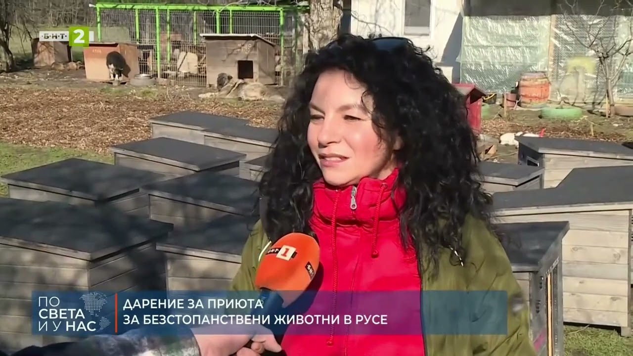 ДАРЕНИЕ ЗА ПРИЮТА ЗА БЕЗСТОПАНСТВЕНИ ЖИВОТНИ В РУСЕ 22.02.2026