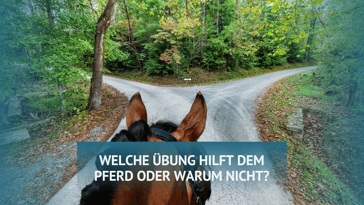 Woher wissen wir welchen Ausbildungsweg wir einschlagen sollten?