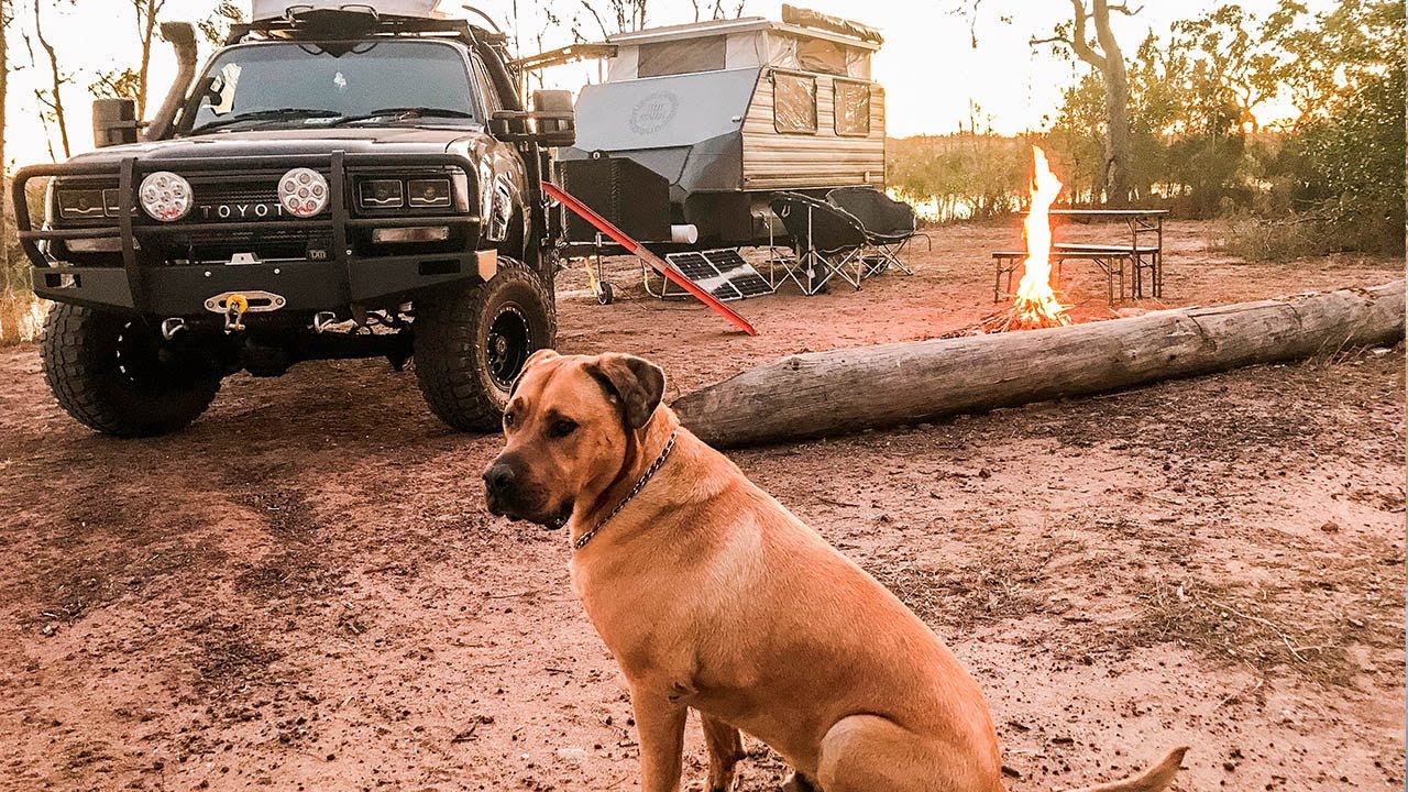 #9 TRAVELLING AUSTRALIA WITH A DOG? Why our plans turned around completely