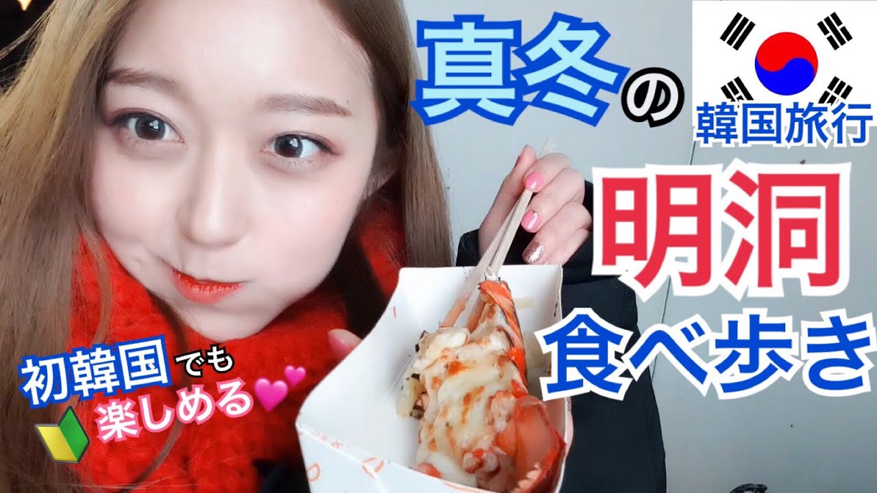 【韓国旅行】初心者向け！真冬の明洞屋台食べ歩き！明洞屋台も美味しい？！ロブスター、トッコチ、サツマイモ！【モッパン】