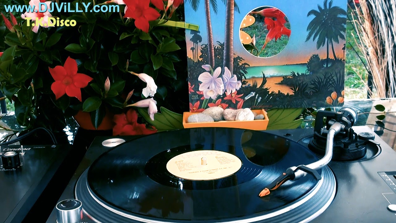 Sassy ‎– Theme From Disco 77 (Pt.2)