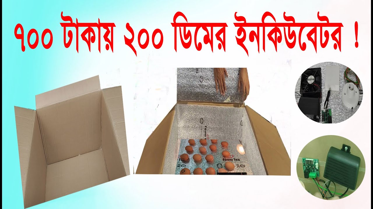 সস্তায় মাত্র ৭০০ টাকায় ইনকিউবেটর তৈরি করুন | How to make incubator at home | Incubator | Valo Bd