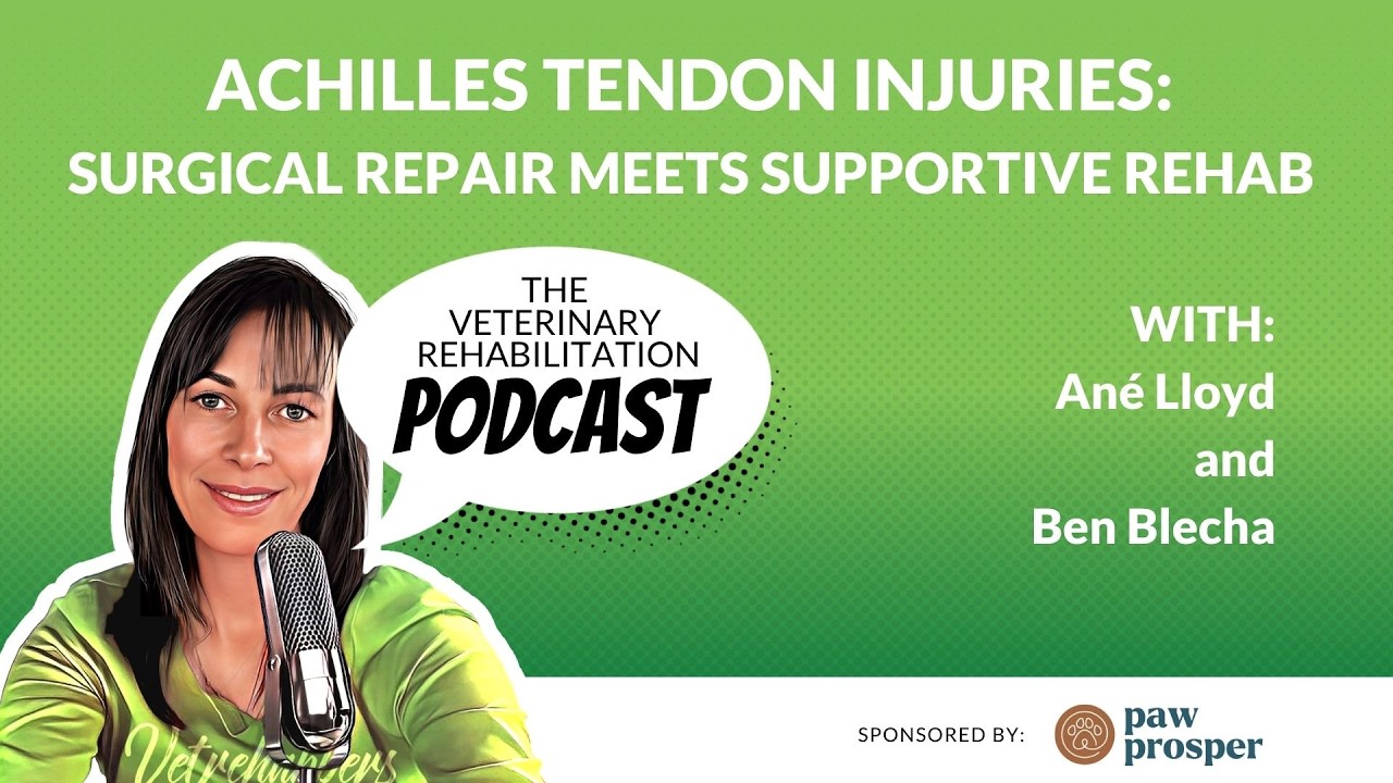 Achilles Tendon Injuries: Surgical Repair Meets Supportive Rehab with Ben Blecha