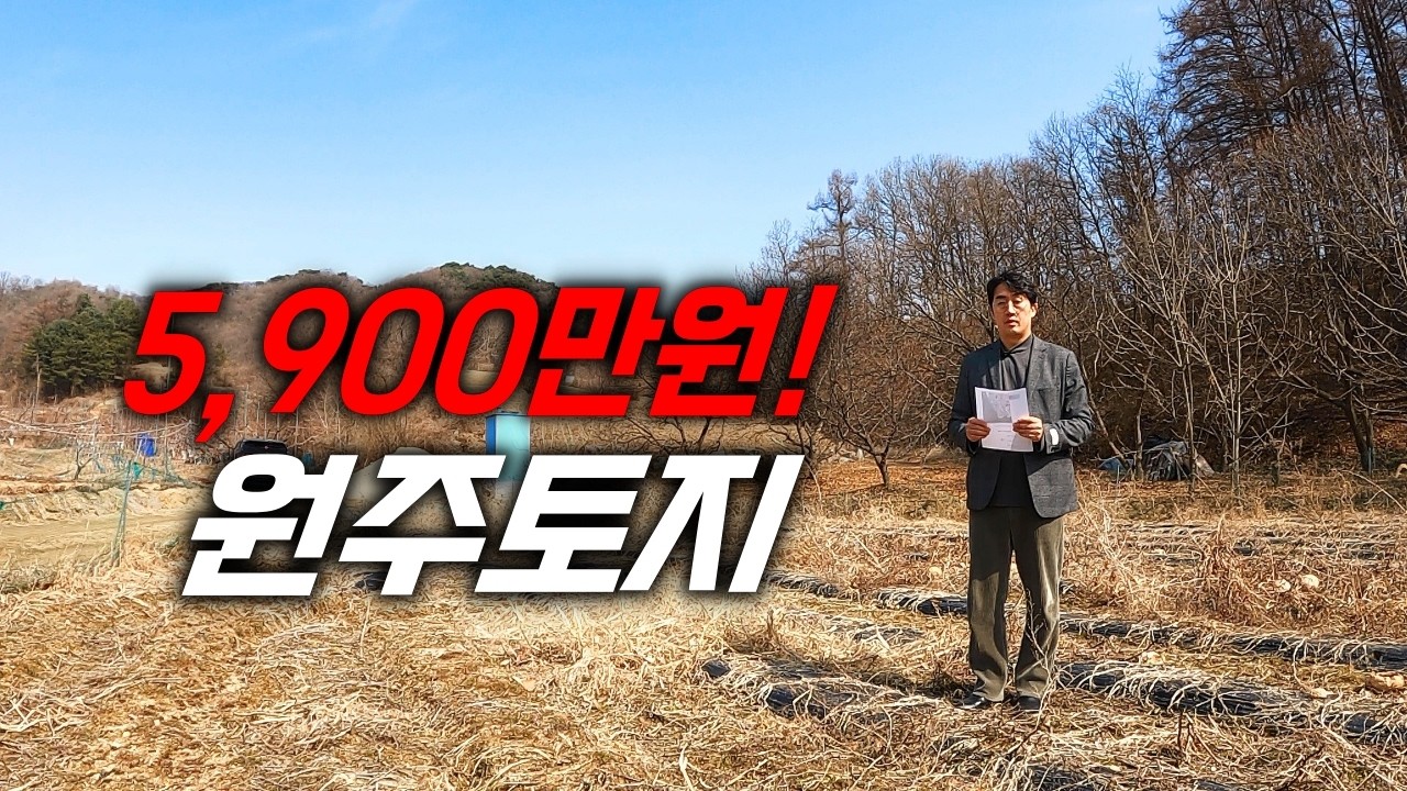 (반값) 싼 땅은 역시 맛집이지!! 강원도 원주토지 5,900만원