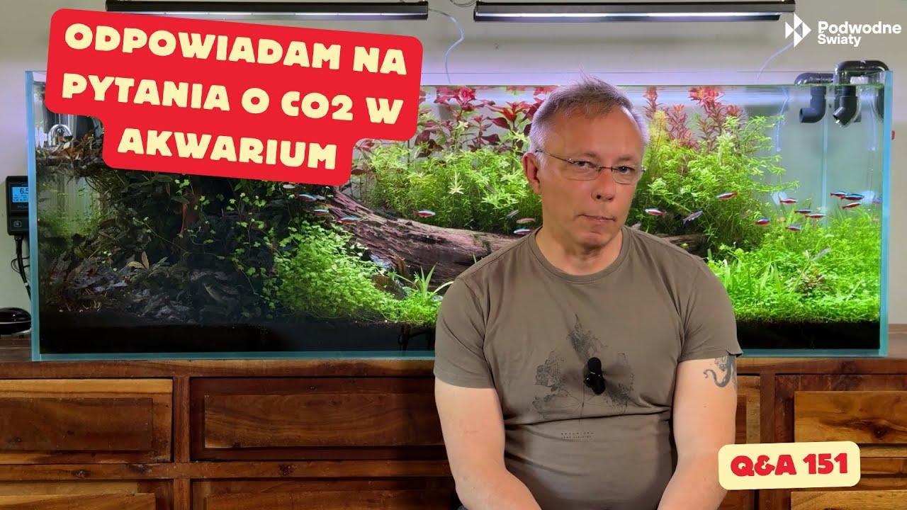 Odpowiadam na pytania o CO2 w akwarium. Q&A151