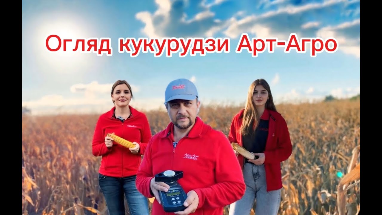 Кукурудза Арлен, Фабріс, Ларсон, Руні і Матео на демо-посівах в умовах 2024 року
