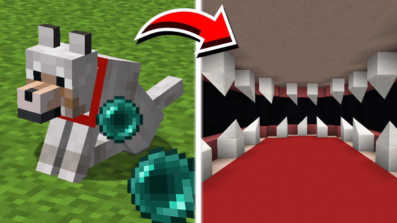 Wir KÖNNEN MOBS BETRETEN in Minecraft