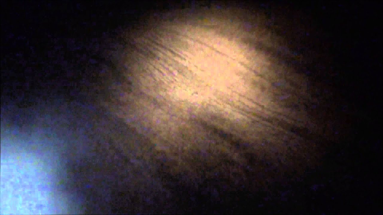 More lamping foxes