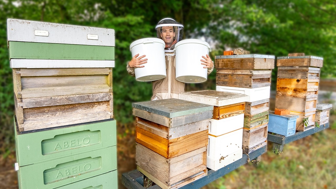 Harvesting 90kg of spring honey - this is where honey comes from!