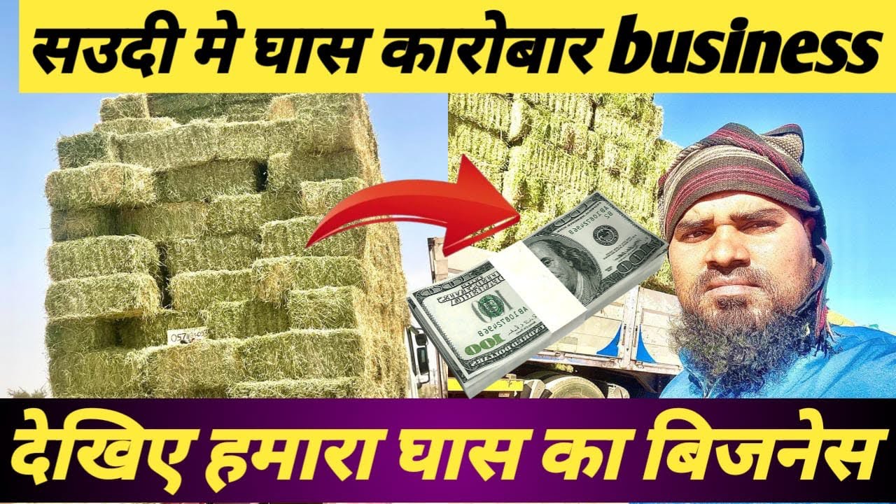 Business in saudia Arabia ghass ka kam grass business in Arab tabarjal ka ghass #business #grass 