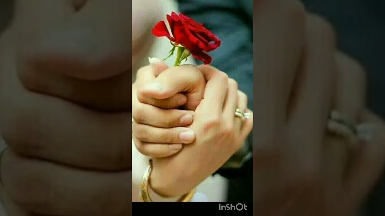 VELANTAINS DAY 🧕🏻🌹🧕🏻
