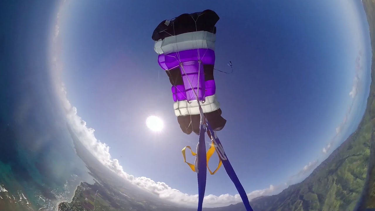 Wingsuit Openings of Various 7-Cell Canopies