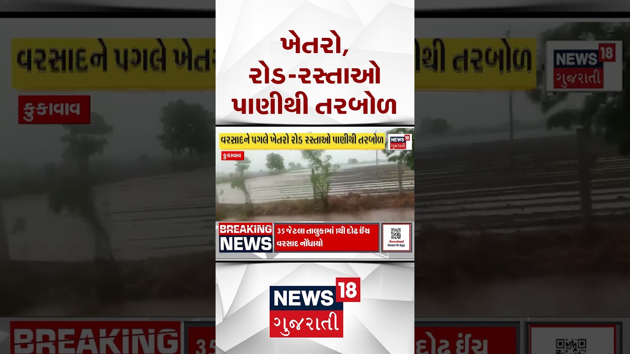 Amreli Rain News | ખેતરો, રોડ રસ્તાઓ પાણીથી તરબોળ | Rain | Weather Update | Shorts | Gujarati News