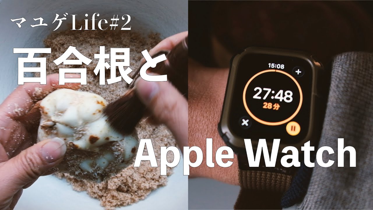 百合根とApple Watch (マユゲLife #2)