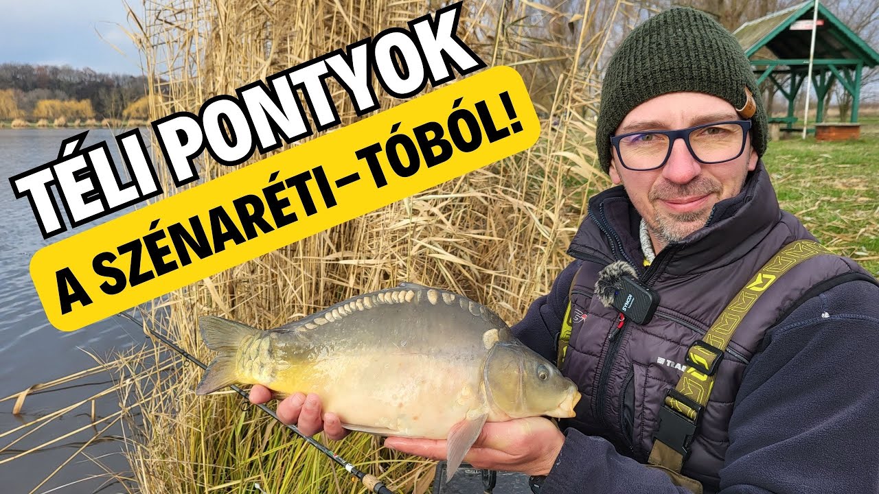 Téli pontyok a Szénaréti-tóból