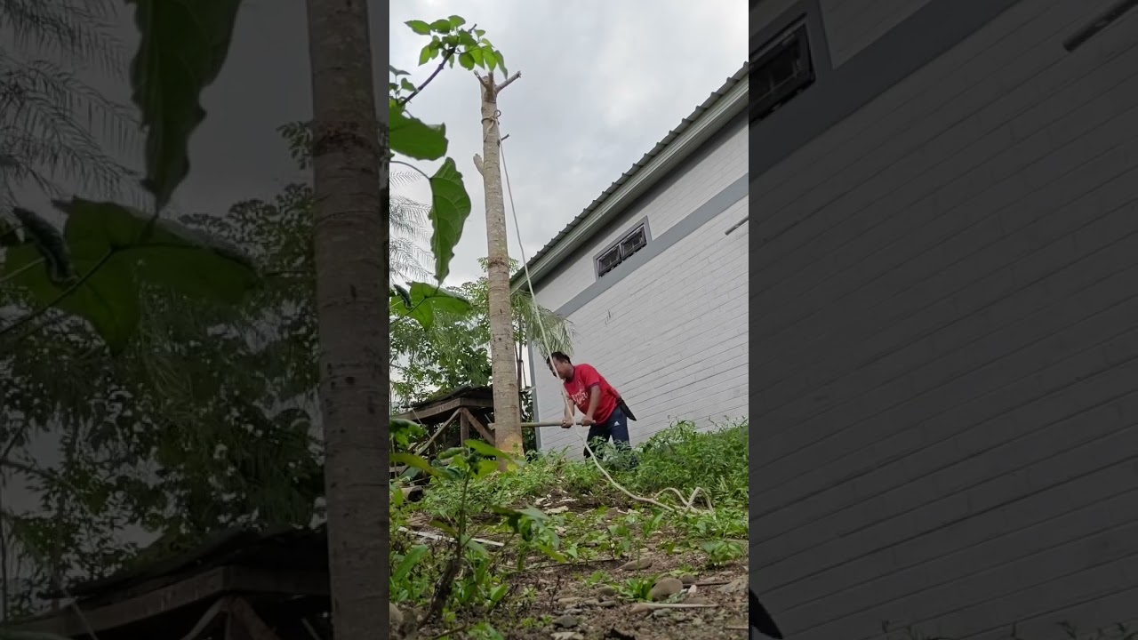 Inn kom a thingphung kiphuh