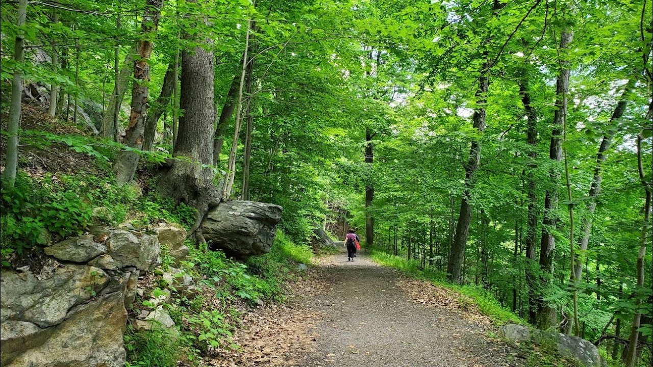 Rockefeller State Park Preserve 2024.