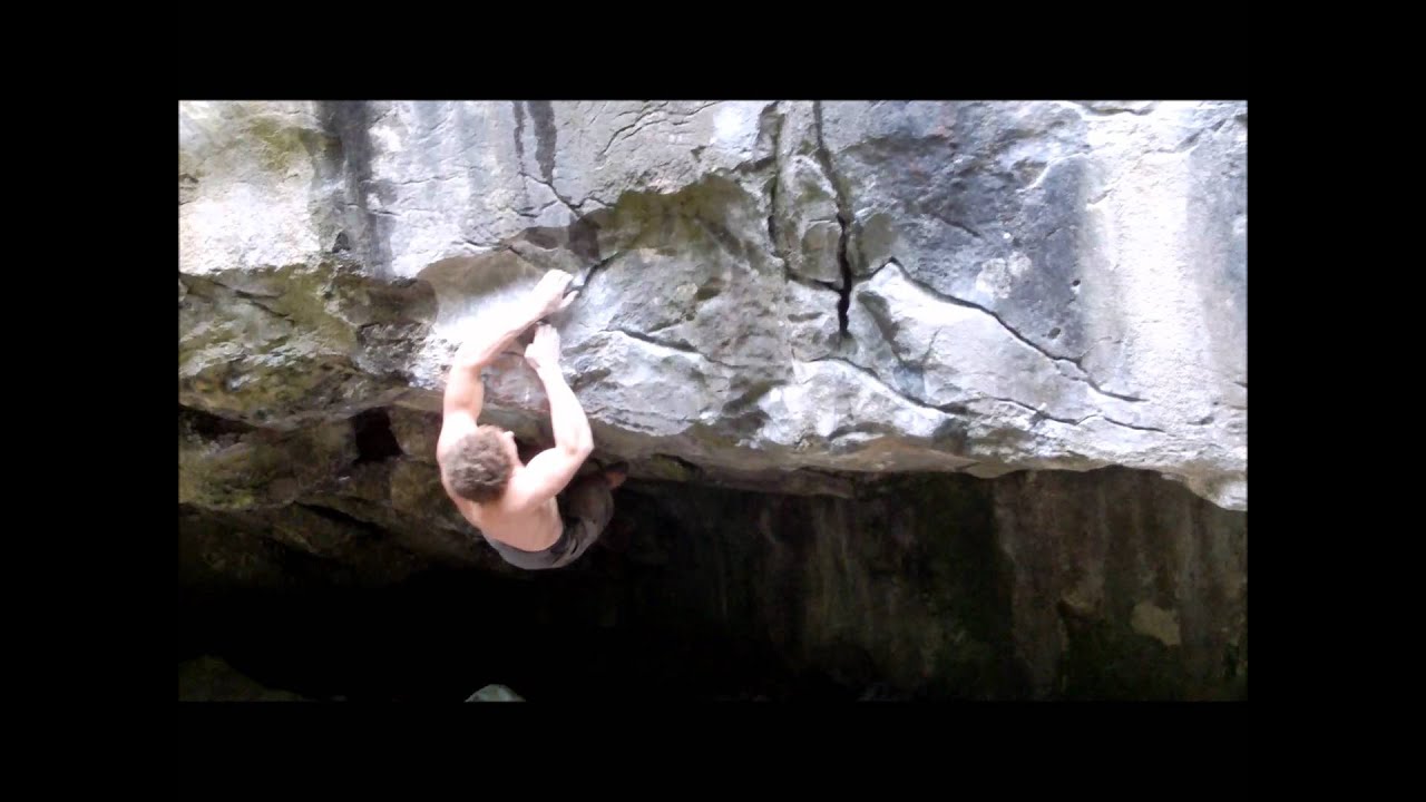Fat Cat Roof Fb7C - Barnaby Ventham