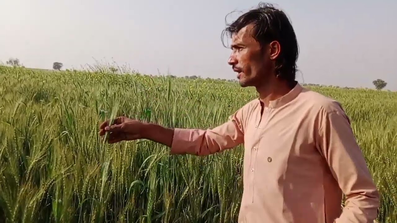 Nadirvillagevlogs