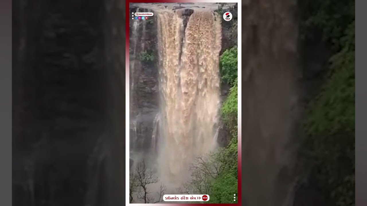 Gujarat Heavy Rain : Tapi ના સોનગઢના જંગલના મનમોહક દ્રશ્યો | Monsoon In Gujarat | Rain Forecast