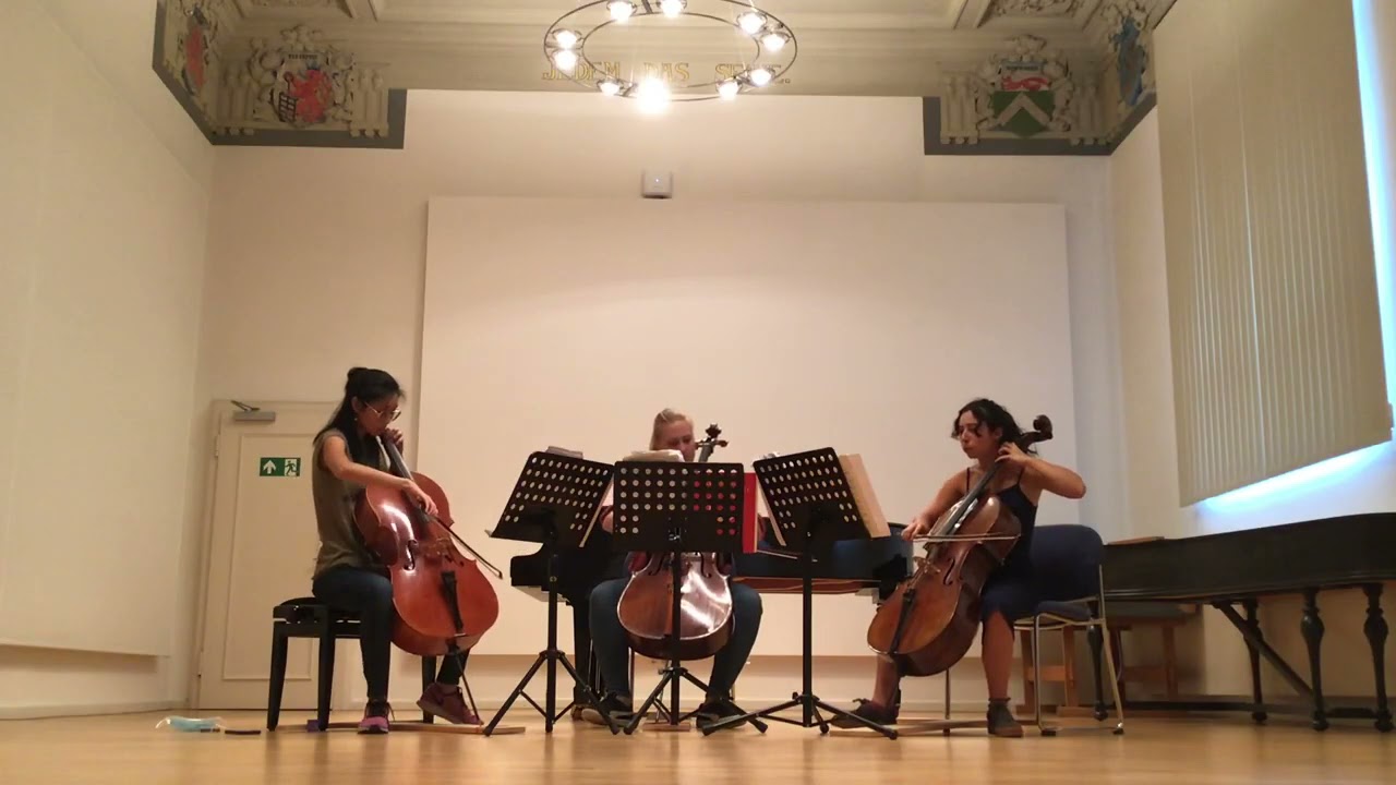 “Tíz Trio” Zoltán Kodály  Nr. 7| Trans  Jákó Jenõ