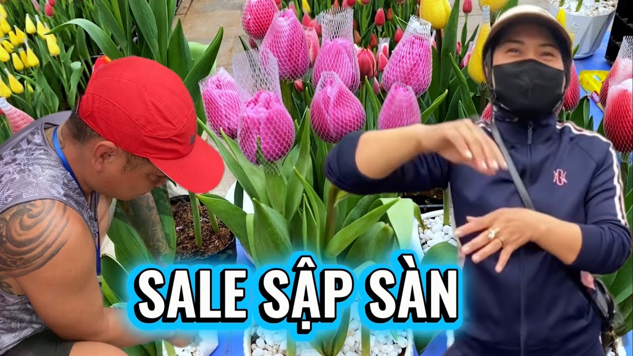  Chợ Hoa Tết 2026 - Tet Flower Market #tet2026 #travel #vietnam #hanoitour #hanoilife 