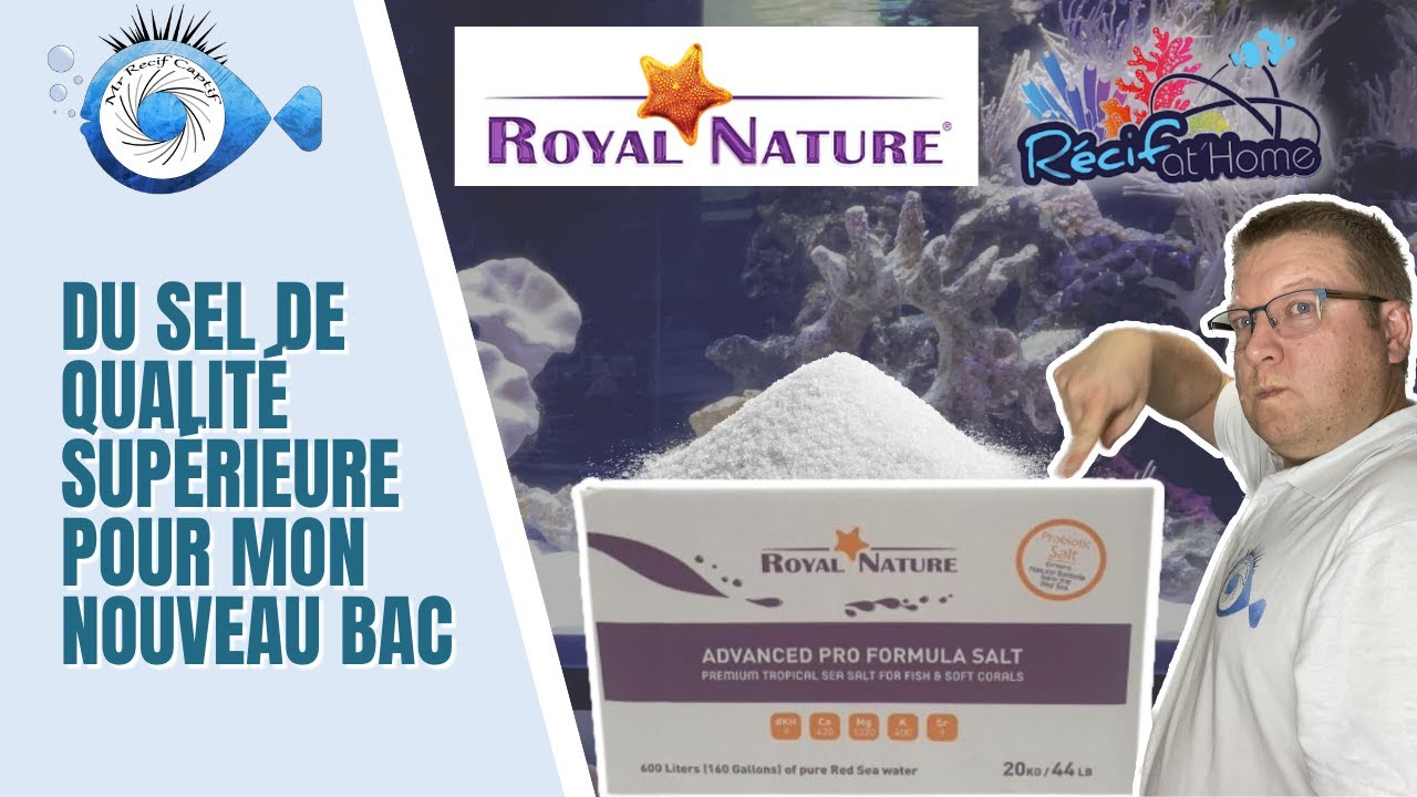 Détails et explication du salage du bac avec le sel royal nature