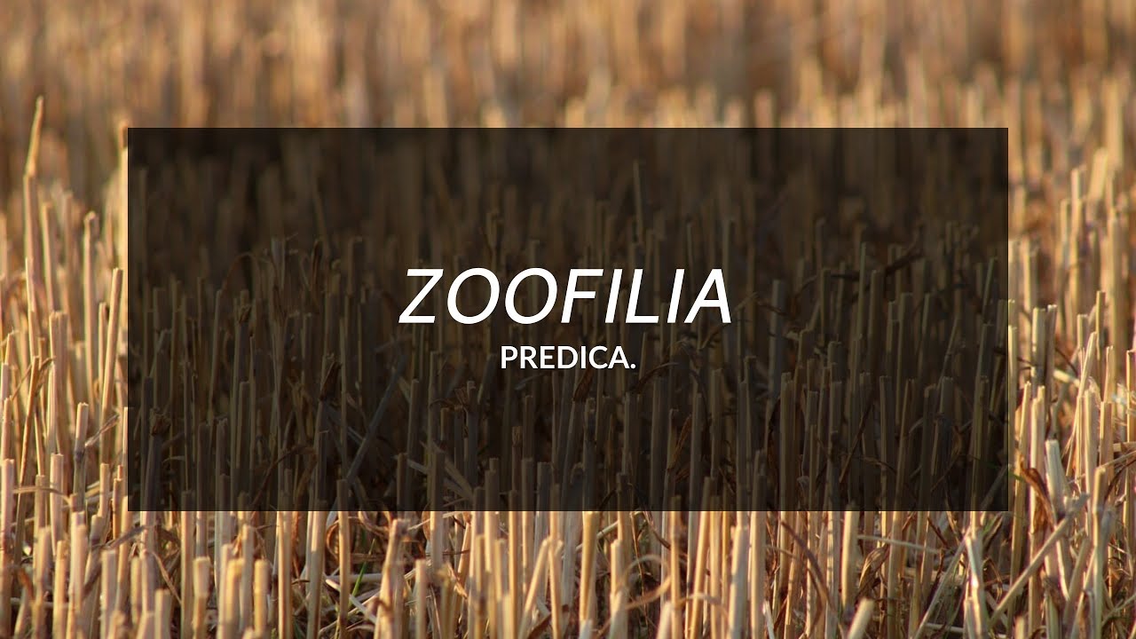 Un Tema Controversial Zoofilia - Predica - Pastora Susana Sierra