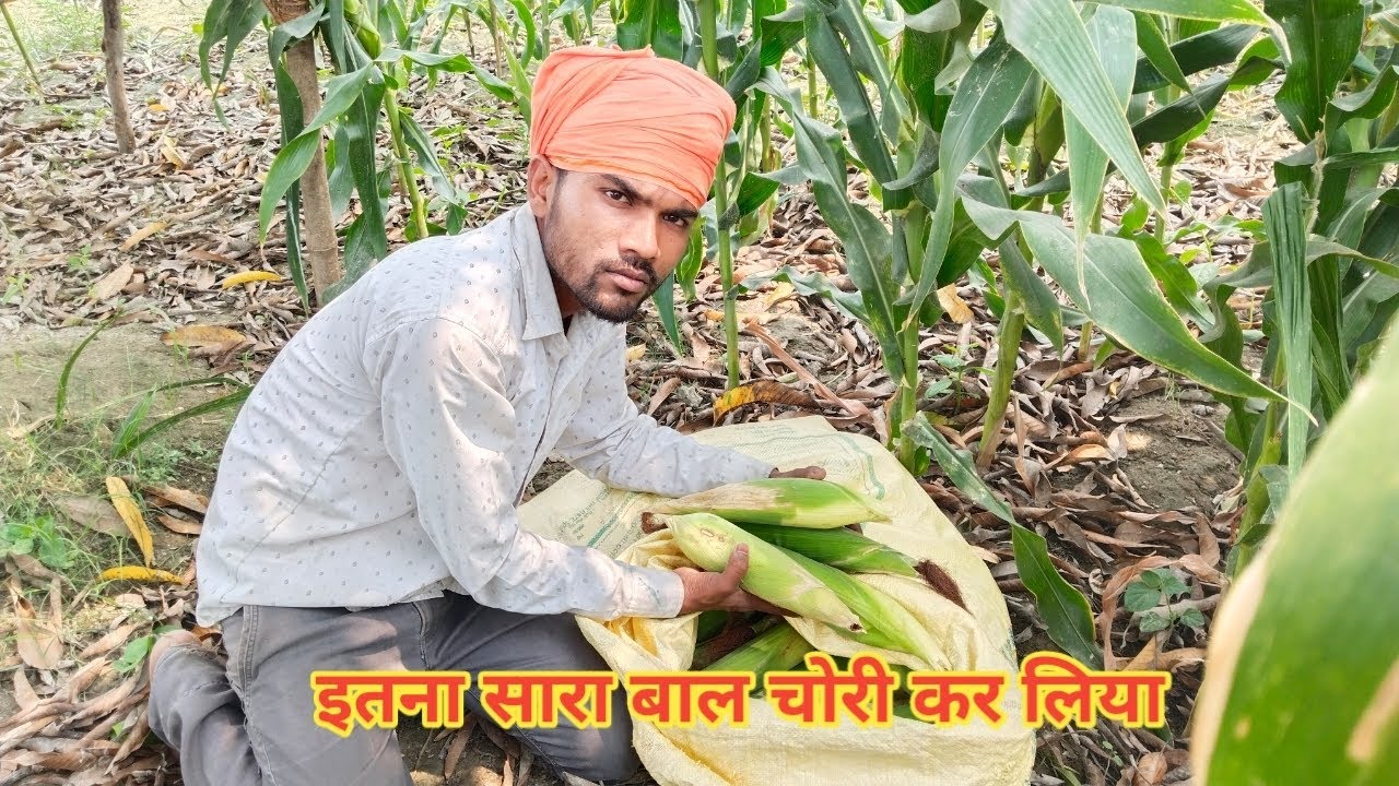 बाल तो चोरी कर लिए अब क्या होगा