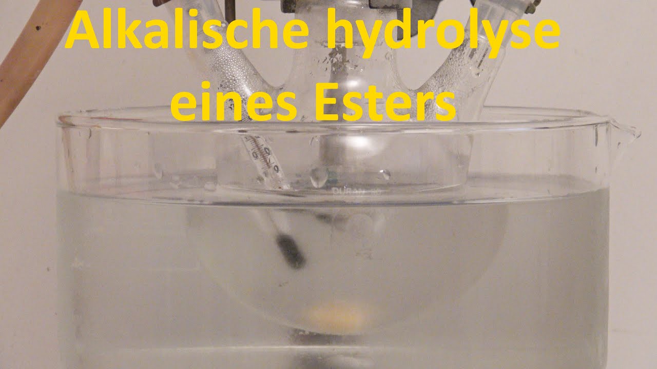 Alkalische Hydrolyse von Methylacetat
