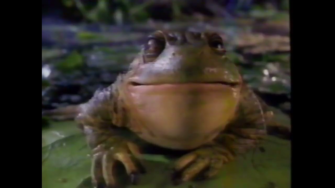 Budweiser Commercial: Male & Female Frog, “Bud” “Weis” “Er” (1995) (30th Anniversary Video)