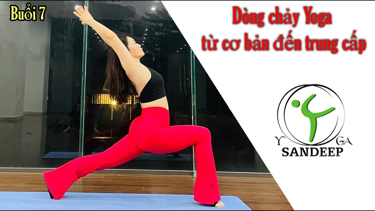 Bài 7 - Dòng chảy Yoga 🧘 từ cơ bản đến trung cấp  Yoga With Sandeep || Vietnam