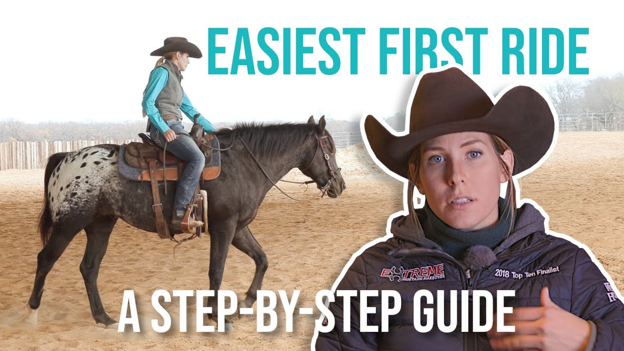 Step-By-Step STARTING YOUR COLT - The First Ride