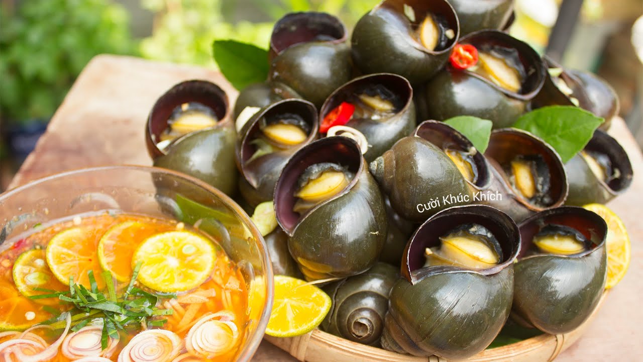 NGÂM ỐC VỚI ỚT LÀ SAI NGÂM VỚI THỨ NƯỚC NÀY ỐC NHANH NHẢ SẠCH BÙN ĐẤT GẤP 10 LẦN - CKK