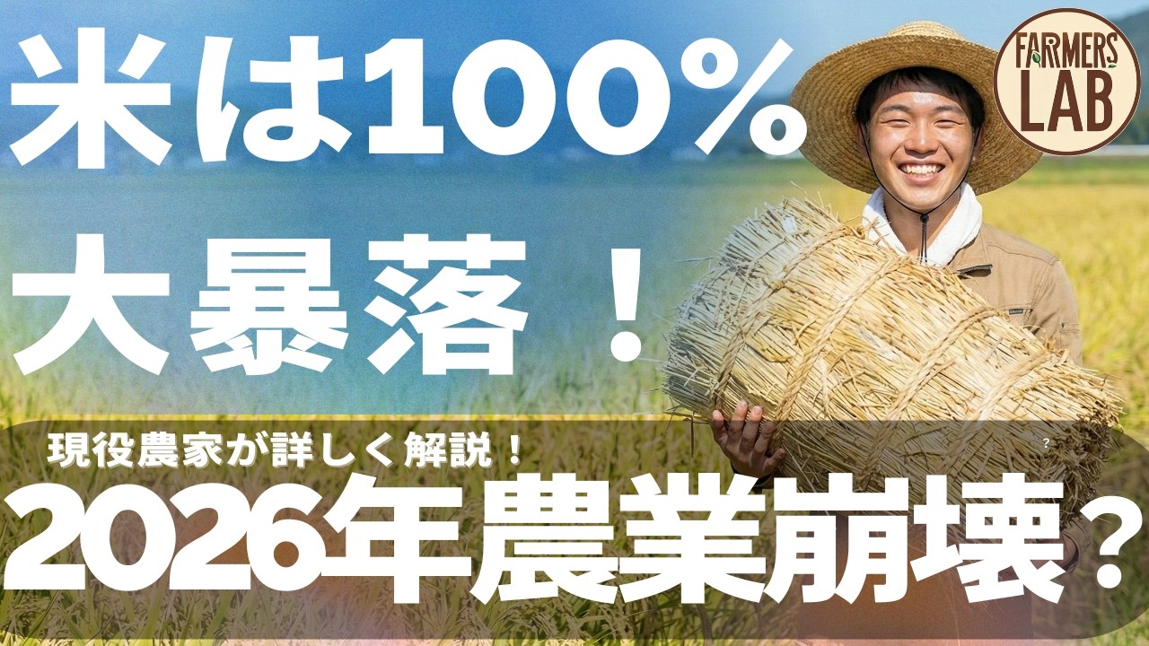 【コメの価格下落する】米騒動と2026年の値段・引き起こされる危機を農家が解説！