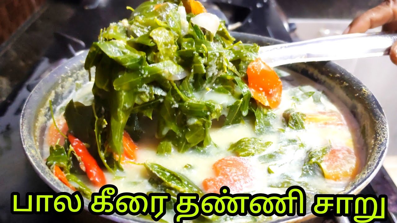 கொடி பால கீரை தண்ணி சாறு |  Kodi Pala keerai Thanni saru | ANBARASI kITCHEN.
