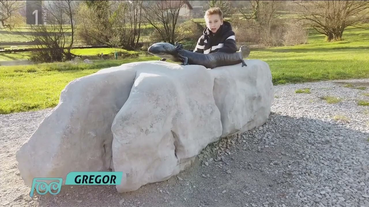 Počitniške dejavnosti, RTV Slovenija:  OŠ Mirana Jarca Črnomelj