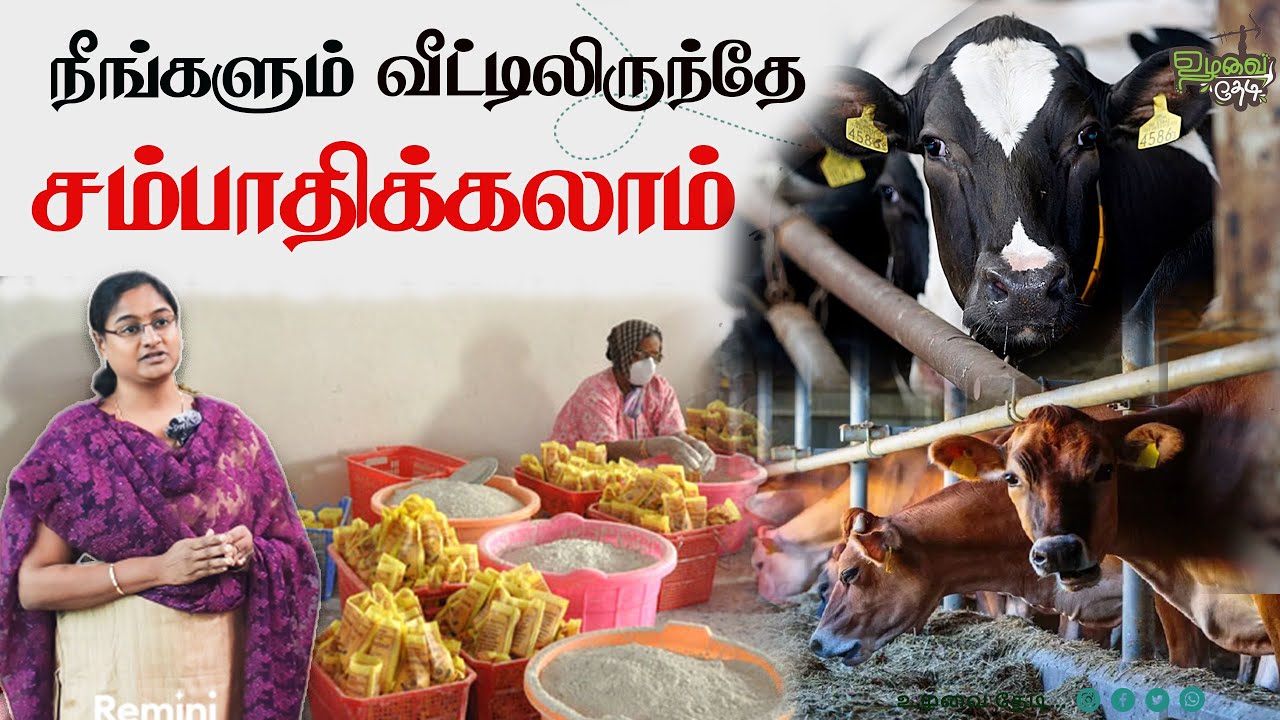 குறைந்த முதலீடு அதிக லாபம்-விபூதி தயாரிப்பு! #cow #preetha  #viboothi #organic #thiruneeru #chennai
