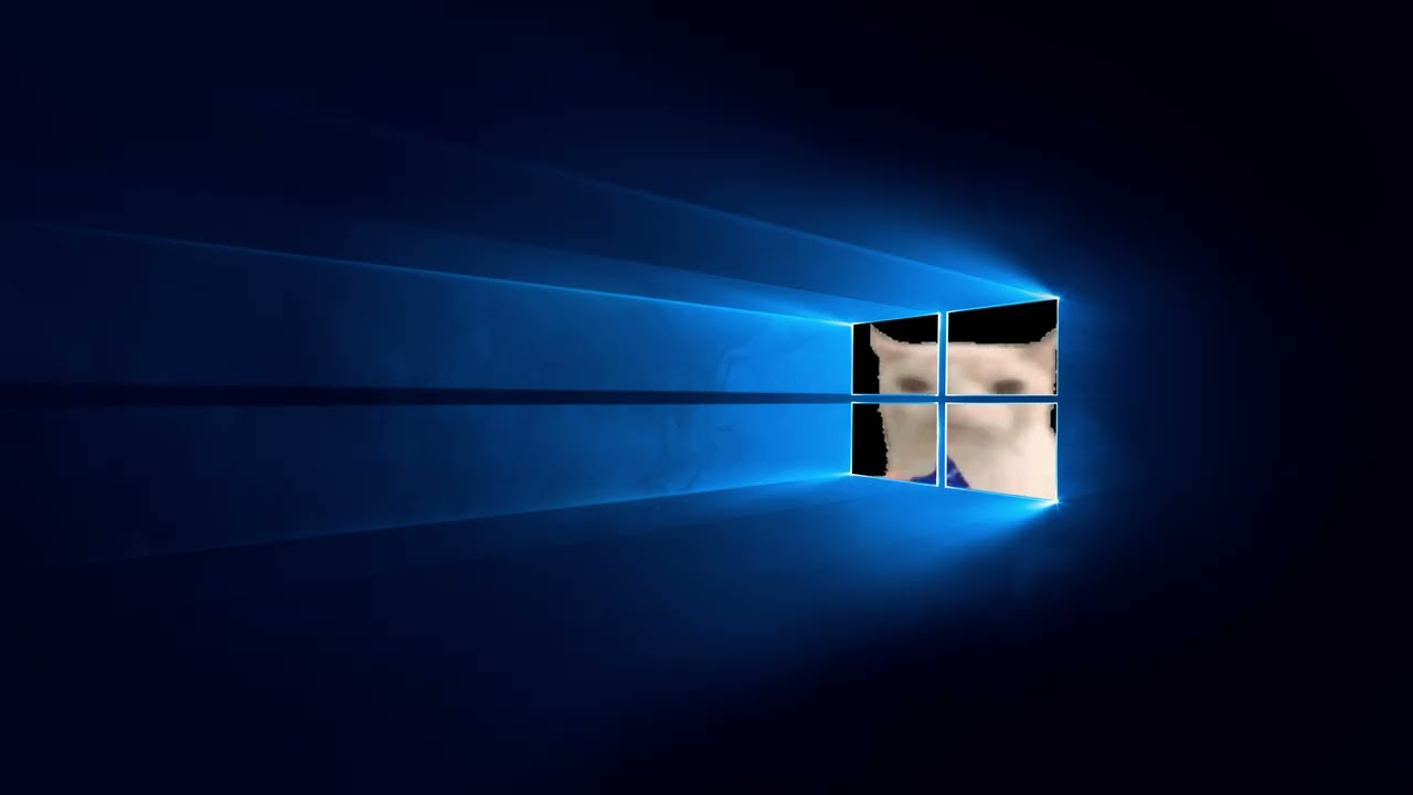 1 Hour Cat eating a chips through the windows 10 Dark wallpaper