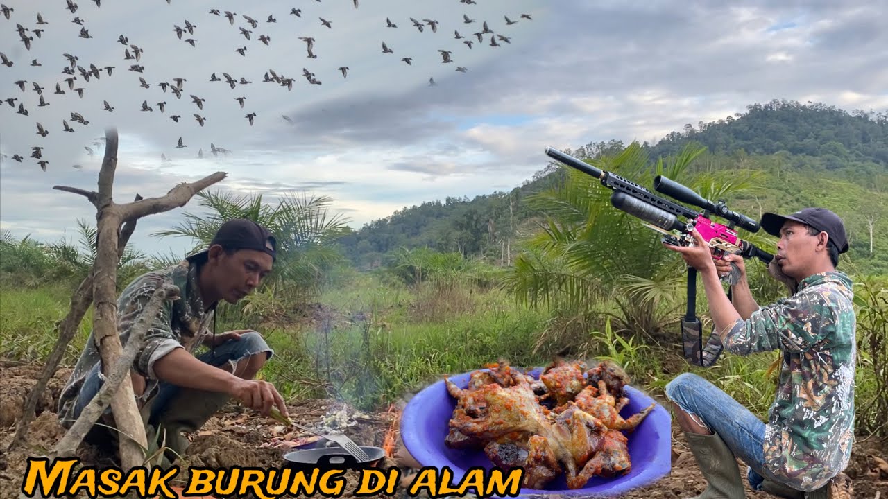 Penasaran gerombolan burung di seberang⁉️ternyata burung ini nikmat sekali