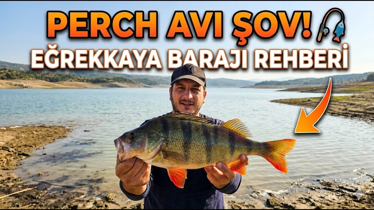 Eğrekkaya Barajı'nda Dip Oltasıyla Perch Avı | Ailece Muhteşem Balık Avı Günü