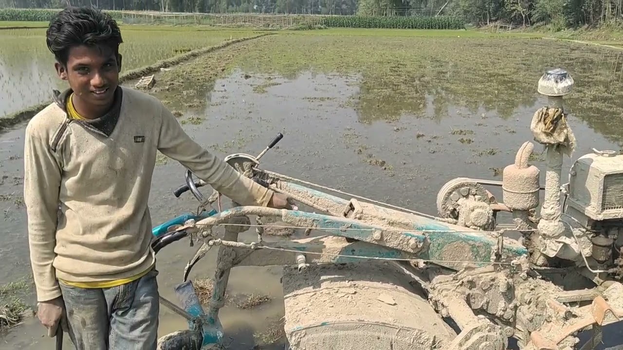টাক্টার দিয়ে কিভাবে হাল চাষ করে 