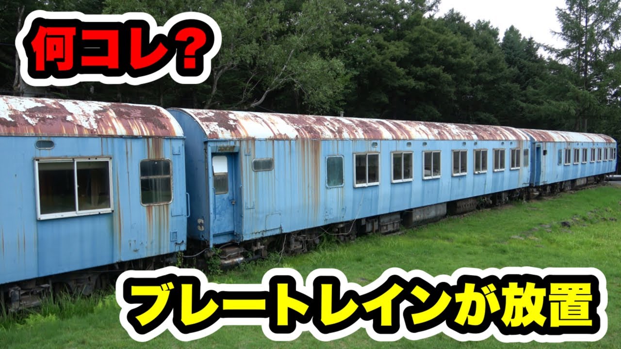 【驚愕】ブルートレインが放置されている（国鉄10系客車 オロネ10）