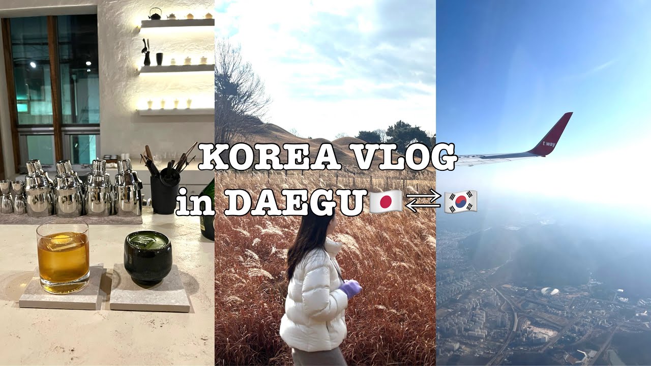 대구워홀VLOG / 大邱ワーホリ✈️ ep.9 워홀 마지막 브이로그
