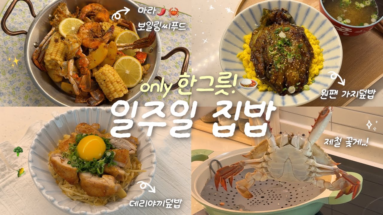 한그릇 집밥 브이로그🍙🦀✨ㅣ 씨푸드보일링ㅣ데리야끼덮밥ㅣ전자레인지 충무김밥ㅣ박나래 가지덮밥 꽃게