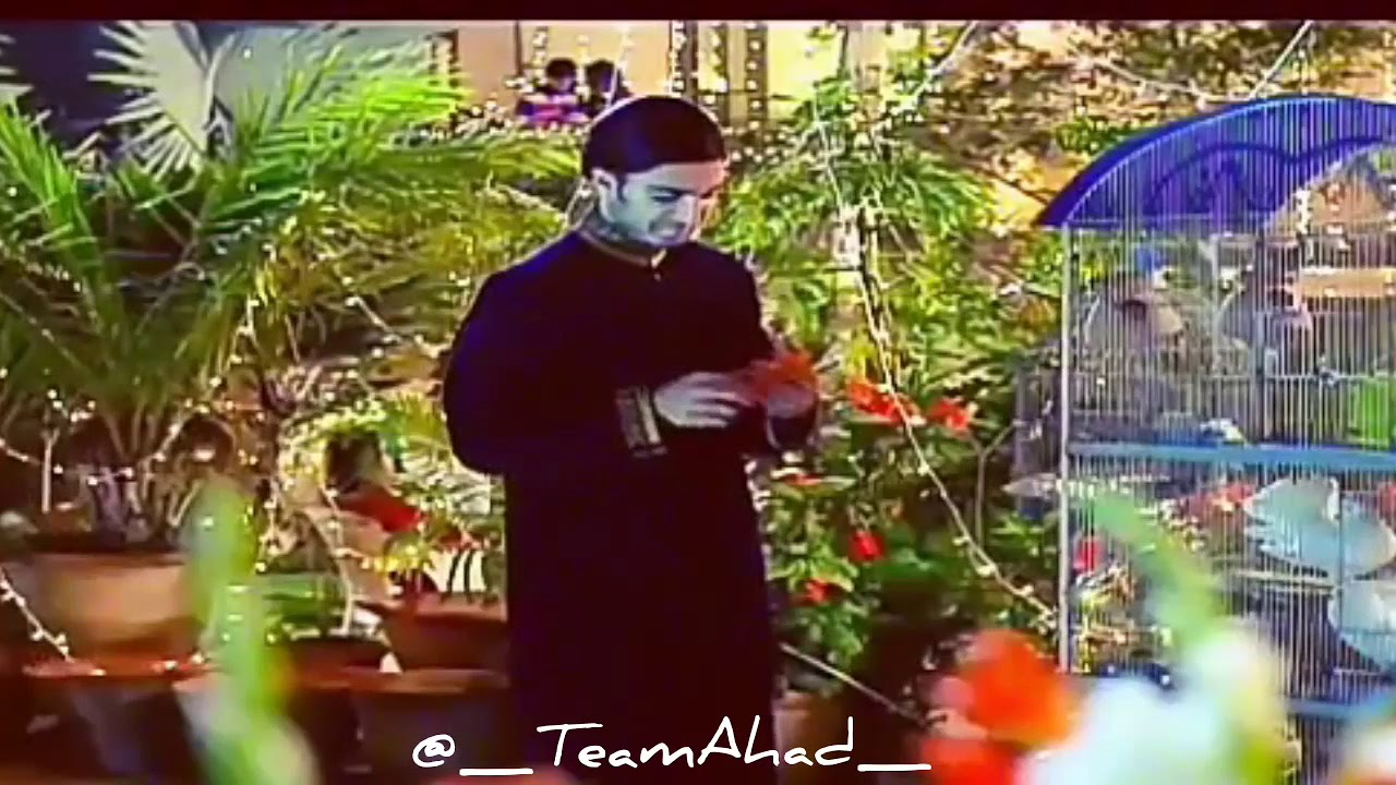 Palat (Tera Dhyan Kidhar ha) Asfiya funny Vm