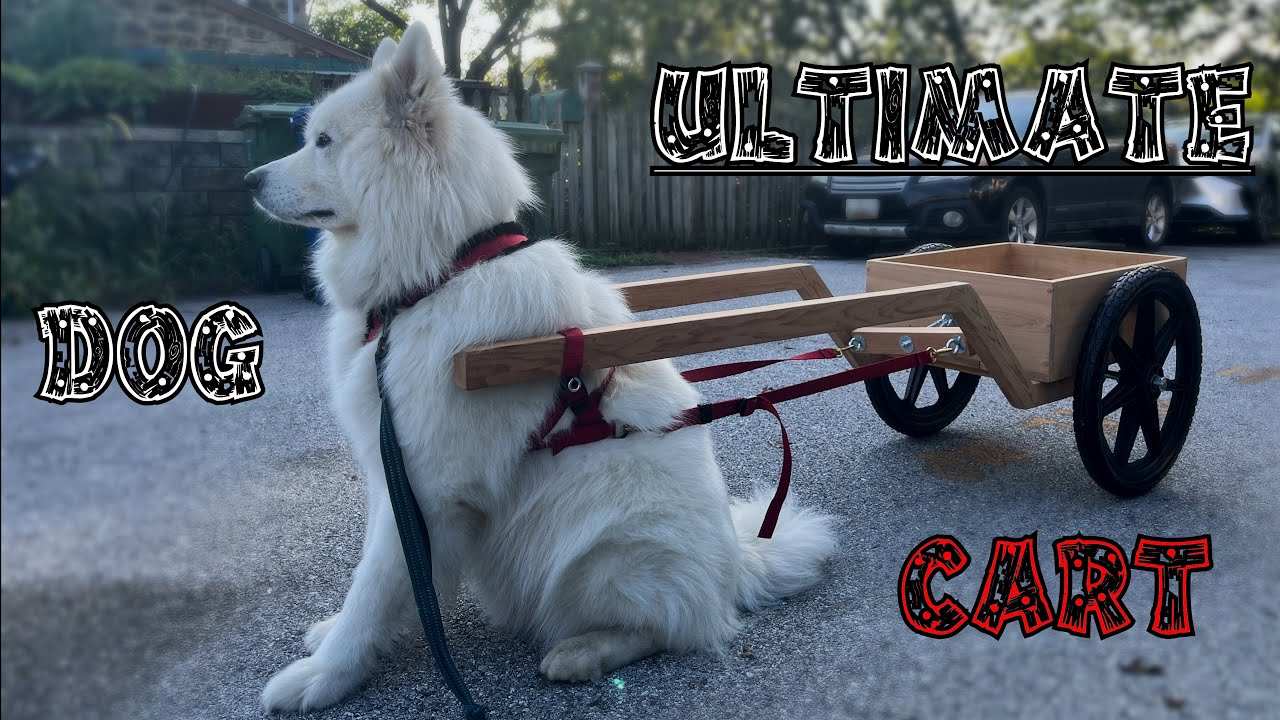 Dog Drafting Cart - Full Build