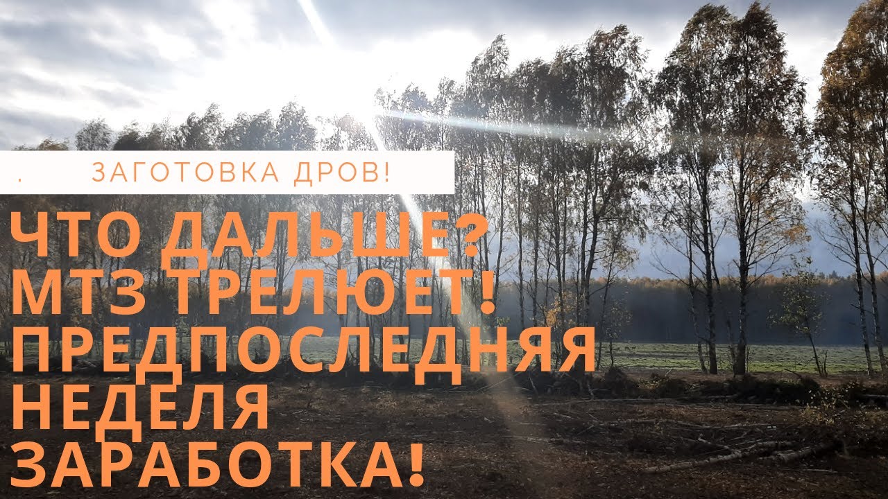 Что ждёт дальше? МТЗ заготовка дров! Предпоследняя неделя заработка!!