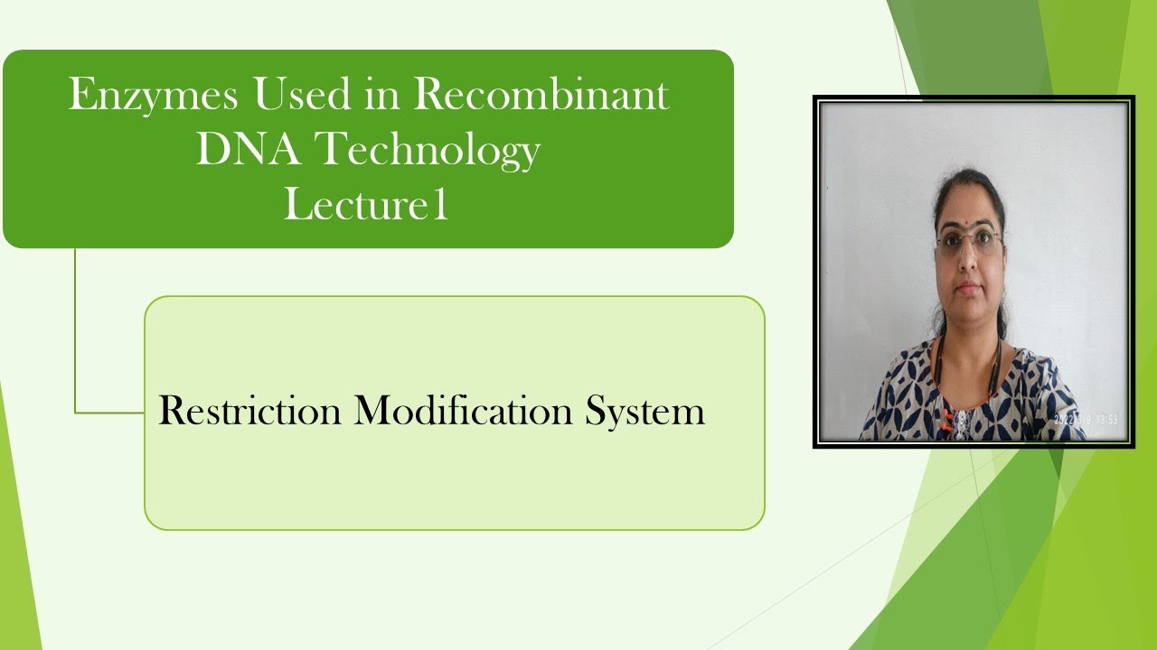 Restriction Modification System